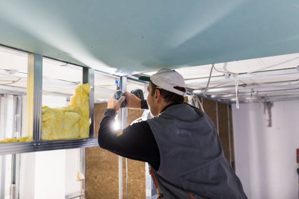 Best Insulation Contractors for Homes  in Miami Lakes, FL