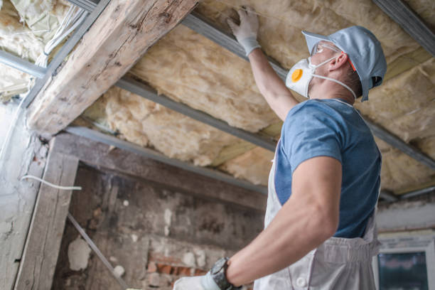 Best Attic Insulation Installation  in Miami Lakes, FL