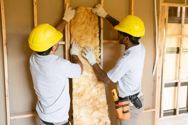 Best Commercial Insulation Contractor  in Miami Lakes, FL