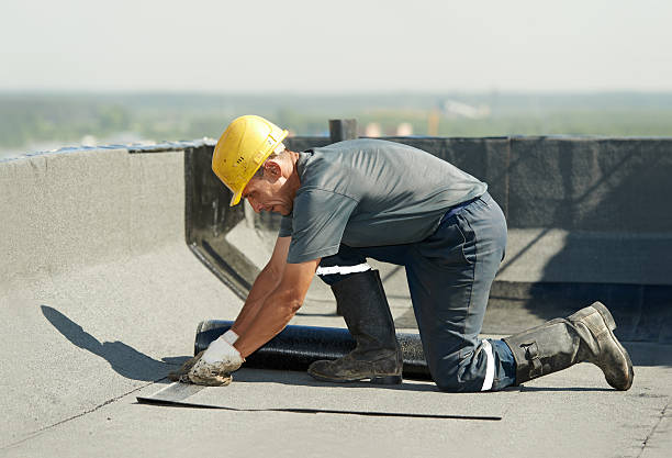 Best Insulation Inspection Services  in Miami Lakes, FL