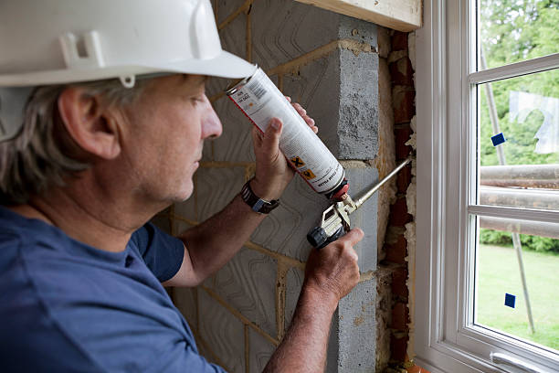 Best Professional Insulation Contractor  in Miami Lakes, FL