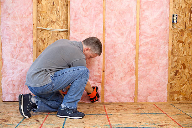 Best Garage Insulation Installation  in Miami Lakes, FL