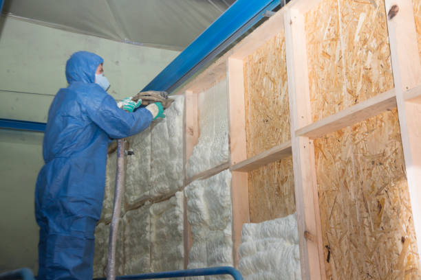 Insulation Replacement Services in Miami Lakes, FL