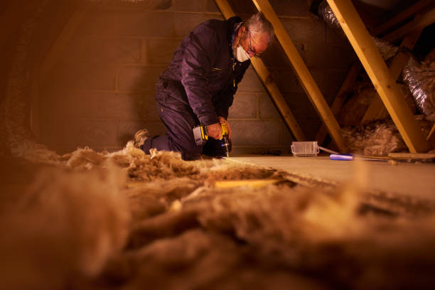 Best Spray Foam Insulation  in Miami Lakes, FL